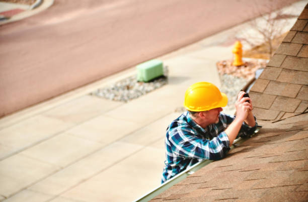 Best Roof Insulation Installation  in Black Rock, NM